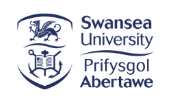 Swansea University